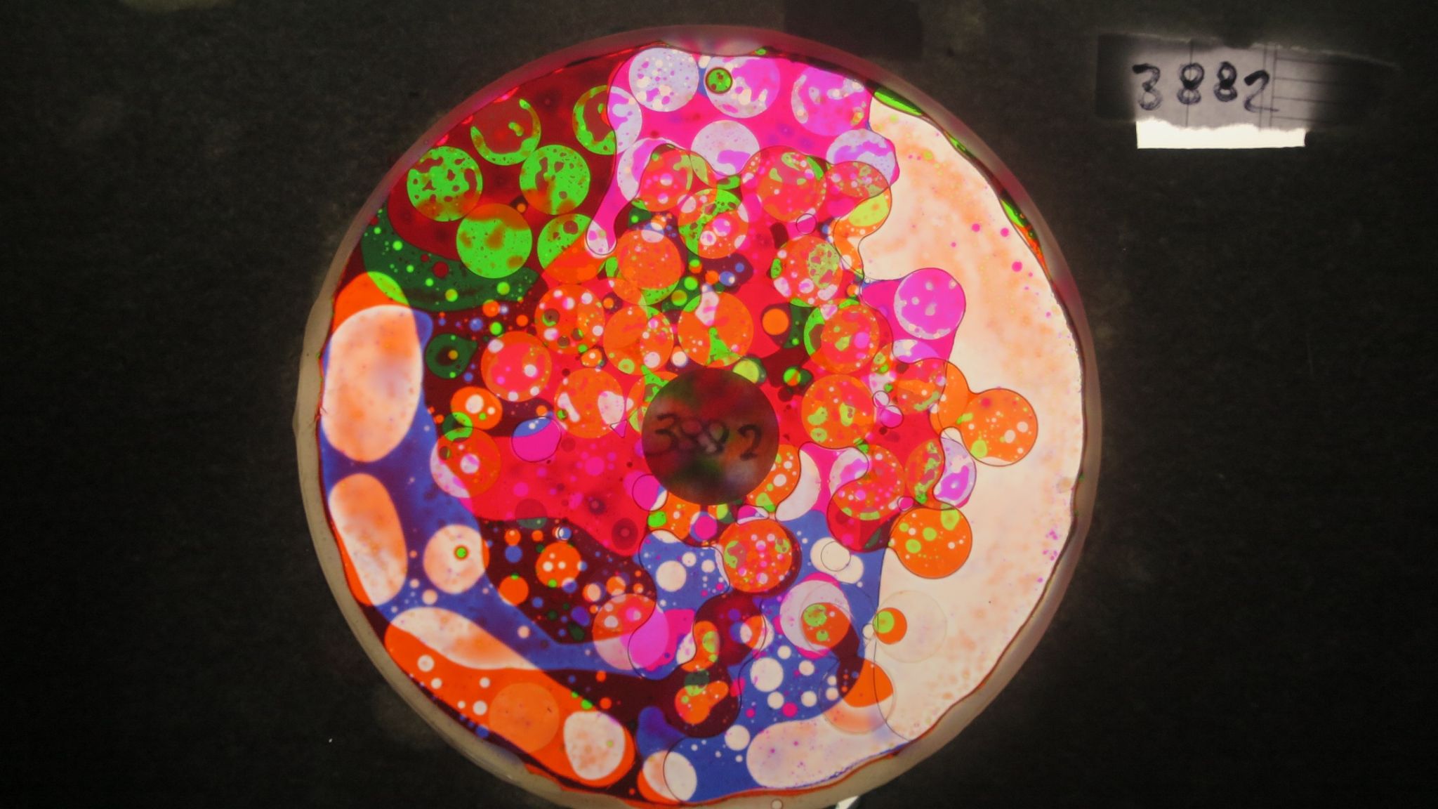 BV3882 bubble vision oil wheel